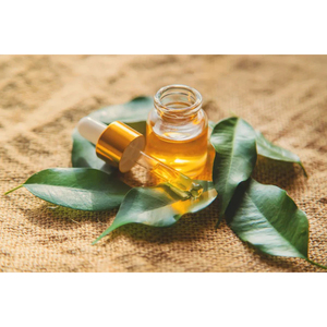 Huile Essentielle de Théier 100% Naturelle et Biologique en Gros, Prix de Gros pour Marques Privées - Product Image 2