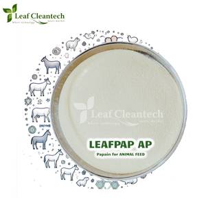Enzima de papaína para alimentación animal-Digestión-Descomposición de proteínas-Aditivo alimentario de la India | Enzimas de alimentación animal | - Product Image 1