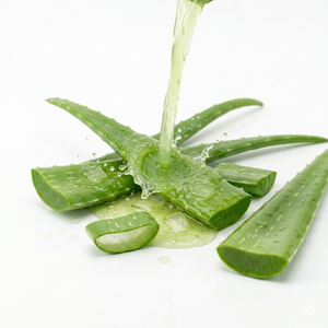 Jugo de Aloe Vera Fresco para Productos Nutricionales, Fabricación de Cuidado de la Piel, Suministro de Ingredientes Herbales Industriales a Nivel Mundial - Product Image 5
