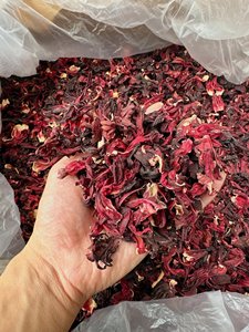 Flor de Hibisco Seca de Fábrica de Vietnam, Ingrediente Natural para Té de Roselle, Venta al Por Mayor - Product Image 3