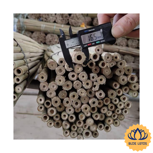 [MEJOR PRECIO] |   Postes de Bambú Rectos de 12mm y 14mm de Diámetro, 150cm y 180cm de Longitud, para Construcción de Alta Resistencia, de Vietnam - Product Image 1