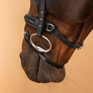 <b>Padded</b> Non-Slip PVC Noseband for Riding <b>Smartly</b> Fitted Horse and Leather French Bridle with Black Rhinestone - Product Image 4