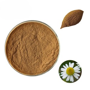 <b>Best</b> Selling Chamomile Powder Herbal Food Grade Chamomile Flower Powder Botanical Raw Material Wholesale Bulk Supply from India - Product Image 2