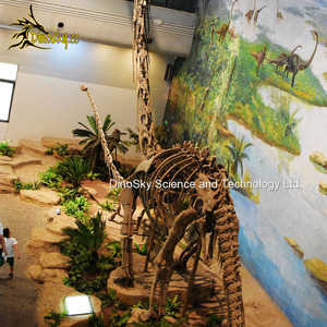 Nhà máy trực tiếp sống động như thật khủng long Bộ Xương Brachiosaurus hóa thạch cho công viên chủ đề thu hút dinosky - Product Image 6