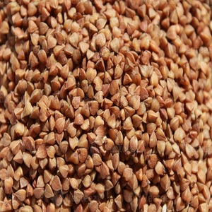 Trigo Sarraceno Orgánico Seco de Alta Calidad, Venta al Por Mayor, Grado Consistente, Envasado al Vacío, Proceso FD, Envío Rápido - Product Image 5