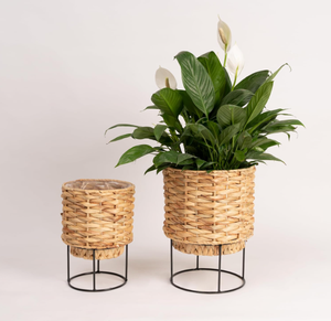 Pots de rangement au sol en jacinthe d'eau de style rétro, fabriqués au Vietnam, avec poignées, tissés à la main, écologiques - Product Image 2