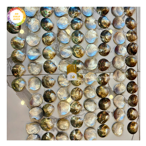 Pendentif Coquillage Nacre Naturel Poli, Disque de Coquillage, Breloque Perles Noires, pour Fabrication de Boucles d'Oreilles, Colliers, Bijoux DIY, Fourniture d'Exportation - Product Image 6