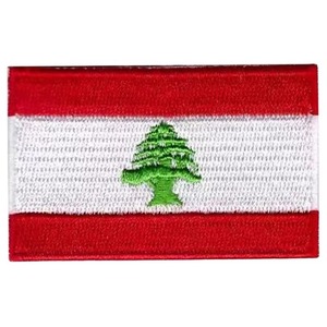 2026 Mini Patchs Brodés Drapeaux à Thermocoller, Badges Nationaux Personnalisés pour Uniformes, Chapeaux, Sacs, Vêtements, Patchs Brodés Drapeaux de Voyage - Product Image 6