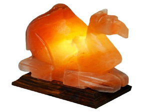 Rendez n'importe quel espace plus chaleureux avec une lampe en sel rose de l'Himalaya, au look naturel et à l'éclairage doux pour une ambiance relaxante à la maison. - Product Image 3