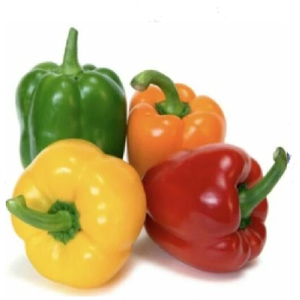 Semillas de Pimiento Dulce Frescas, Sin OMG, Varios Tamaños, ENVÍO GRATUITO - Product Image 2