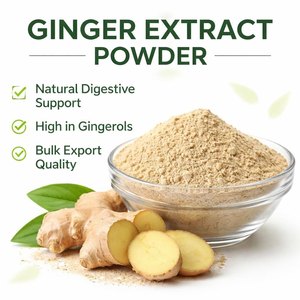 ผงสกัดขิง Zingiber Officinale 10% จินเจอรอล ผลิตภัณฑ์เสริมอาหารสมุนไพรธรรมชาติเพื่อสุขภาพทางเดินอาหาร ภูมิคุ้มกัน และสุขภาพทั่วไป - Product Image 5