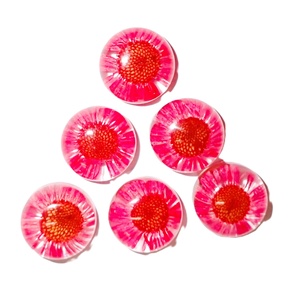 Flor de Daisy Fleabane, Espécimen Real en Cabujón de Plástico Redondo de 19x19 mm, Base Plana Transparente, Moderno, para Manualidades y Joyería - Product Image 1