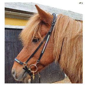 Brida de caballo islandesa, cuero negro, Multicolor, Internacional - Product Image 1