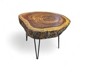 Handcrafted <b>Epoxy</b> Log <b>Coffee</b> <b>Table</b> Large Natural Tree Stump Center <b>Table</b> With Hairpin Legs Rustic Handmade Wood Furniture - Product Image 4