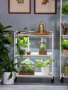 Étagère à plantes mobile à 3 niveaux en métal blanc, support de rangement à fentes, chariot à plantes mobile, support de présentation de pots de fleurs d'intérieur - Product Image 3