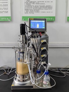 5l אוטוקלבה מאדיקל מיטה נוזל פרמנטר bioreactor הגדרה מיקרוביאלית זכוכית מיקרוביאלית - Product Image 6