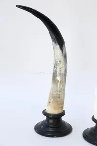 ชุดแตรคู่ตกแต่งโต๊ะในบ้านชุดแตรด้านบนขายโรงแรมและสำนักงานตกแต่งบ้านทำจากผู้ผลิตในอินเดีย - Product Image 5