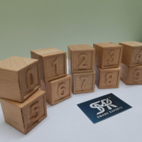 Ensemble de blocs d'apprentissage en bois de qualité supérieure, chiffres de 0 à 9, pour enfants, style Montessori, jouet éducatif, bois de hêtre non toxique, carré