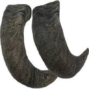 Hot Selling <b>Best</b> Quality Eco-Friendly Buffalo Horn Dog Chew-Handmade Natural Shape - Product Image 3