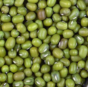 Frijoles Mung Verdes Secos de Primera Calidad, Calidad Premium, Naturales, Marca Agrothai de Tailandia, Bolsas de PP de 50 kg para Venta al por Mayor, Otros Tipos de Frijoles - Product Image 1