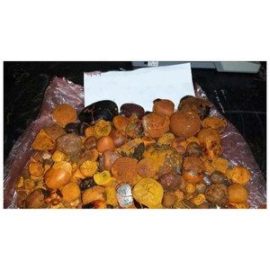 ¡Nueva Llegada! ! Cálculos Biliares de Buey, Cálculos Biliares de Vaca, Cálculos Biliares de Ganado - Product Image 3