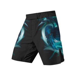 Shorts de combat MMA pour hommes, marque privée - Product Image 4