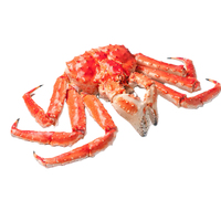Crabe des neiges surgelé de qualité supérieure, vente en gros, approvisionnement en vrac, qualité alimentaire, prêt à expédier, exportation