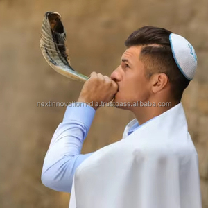 Majestuoso cuerno de carnero Kosher Shofar tallado diseño de Ángel religioso calidad Premium medio pulido arte israelí coleccionable - Product Image 1