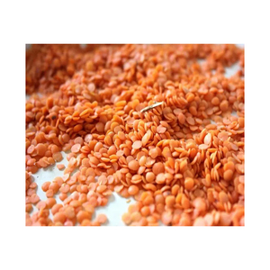 Lentejas Rojas de la Mejor Calidad, Lentejas Enteras, Lentejas Partidas, Mejor Precio, Masoor Dal - Product Image 4