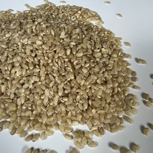 RIZ BRUN JAPONICA DE HAUTE QUALITÉ CHOIX NUTRITIF ET SAIN POUR L'EXPORTATION DU MARCHÉ DE L'UE, NOUVEAU TAUX DISPONIBLE | W/A: 0084909740687 - Product Image 2