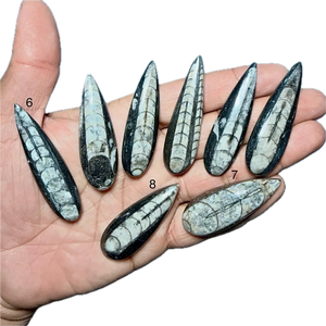 Pierre précieuse naturelle Orthoceras, taille mixte, cabochon, pierre en vrac pour la fabrication de bijoux en argent, pendentif, bague, collier - Product Image 1
