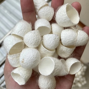 Cocon de soie blanc coupé et nettoyé pour l'exfoliation, le raffermissement et l'hydratation de la peau du visage, qualité supérieure, provenant de fermes vietnamiennes, prix abordable - Product Image 3