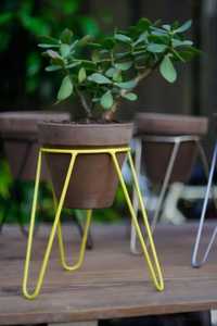 Colorful <b>Mini</b> Wire Plant Stand Hairpin Legs Round Flower Pot Holder Metal Desktop Succulent Pot Riser For Indoor <b>Table</b> - Product Image 6