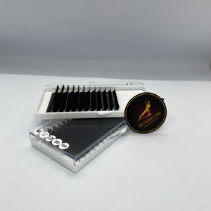 Extensions de cils individuelles en soie, vison et cachemire coréens de haute qualité, avec logo personnalisé, plateau d'extensions de cils avec courbure CC DD, vente en gros - Product Image 2