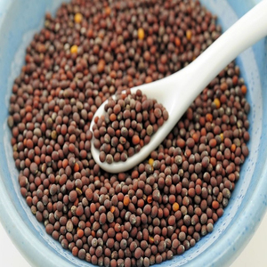 Graines de moutarde de qualité supérieure prêtes à être expédiées, qualité alimentaire, approvisionnement en vrac, fabricant exportateur de premier plan - Product Image 6