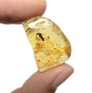 Pierre précieuse brute d'ambre baltique 16 carats, insectes fourmis, ambrage naturel, pierre en vrac pour la fabrication de bijoux, taille 30x20x10 mm - Product Image 2