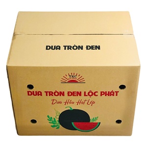Custom 5-Layer Printed Offset Recycled Paper <b>Box</b> Watermelon-Themed Industrial Shipping Packaging for Agriculture - Product Image 3