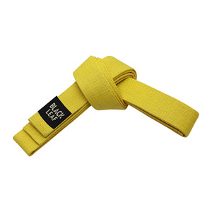 Ceintures d'arts martiaux personnalisées BJJ Taekwondo Karaté Judo Ceintures de grade Fabricant de ceintures noires pour entraînement professionnel et compétition - Product Image 4