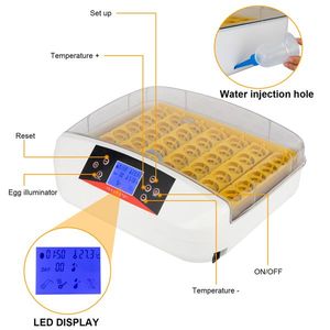 42 Egg Fully Automatic Poultry Incubator with Egg Candler US Standard Yellow & White T Practical Design - Product Image 2