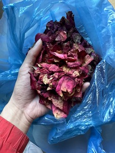 กลีบกุหลาบแห้งพรีเมียมจากเวียดนาม ดอกไม้ธรรมชาติสำหรับชงชา ตกแต่ง และเป็นวัตถุดิบสำหรับการส่งออก - Product Image 6