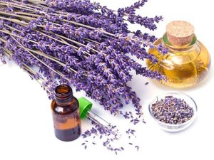 Isar 100% Pure Lavandin Essential Oil for Aromatherapy | Customized Packaging & Private Label | ISO Certified India - Product Image 5