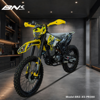 BRZ New 300cc Single Cylinder Zongshen Engine Dirt Bike off Road Motorcycle with Electric/Kick Start Enduro Moto Cross
