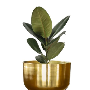 Maceta Metálica Resistente y Duradera con Soporte para Sala de Estar, Decoración de Interiores/Exteriores para Balcón y Hogar - Product Image 3