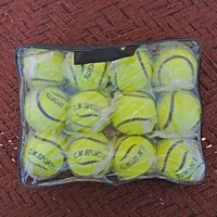 Ballon de Hurling THIZ International en Cuir Officiel de Haute Qualité, Imperméable, Durable et Léger pour l'Exercice – Vente en Gros