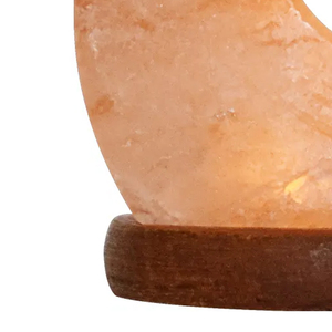 Best Selling Hand Carved Natural <b>Crystal</b> Table Lamp with Personalized Logo OEM Manufacturing Luxury Himalayan <b>Moon</b> Salt Lamp - Product Image 5