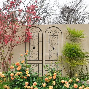 Set di 2 tralicci da giardino in metallo nero stile pavone, 220 cm x 50 cm, antiruggine, per supporto fiori da esterno e piante rampicanti, recinzione e cancello - Product Image 2