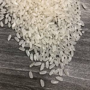 ข้าวขาวเมล็ดกลางเวียดนาม คุณภาพสูง อบแห้ง |   มีคุณค่าทางโภชนาการ ไม่เหนียวเกินไป มีกลิ่นหอม ผลผลิตใหม่ล่าสุด มีจำหน่ายจำนวนมาก - Product Image 5