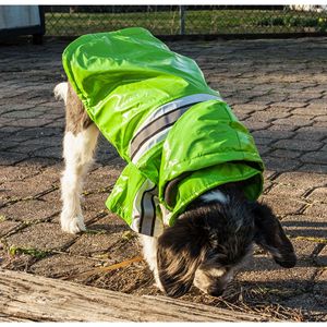 Impermeabile Regolabile in PVC per Animali Domestici, Design Riflettente e Luminoso per il Tuo Amico Peloso - Product Image 4
