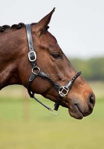 Y & Z-Cuerda de cuero genuino para caballo, alta calidad, calidad superior, disponible, venta al por mayor, proveedores de cuerda ecuestre - Product Image 2