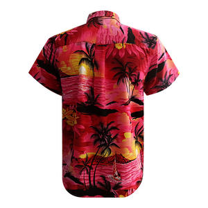 Chemise d'été décontractée pour homme, anti-plis, respirante, anti-boulochage, à manches courtes, coupe classique, en sergé 100 % coton, séchage rapide, écologique - Product Image 2